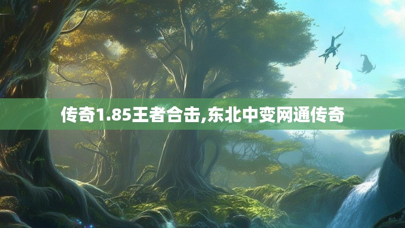 传奇1.85王者合击,东北中变网通传奇