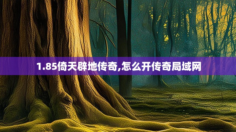1.85倚天辟地传奇,怎么开传奇局域网