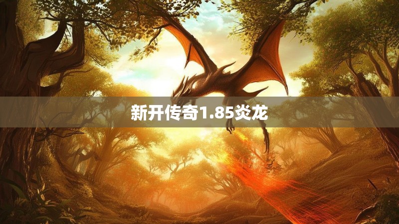 新开传奇1.85炎龙