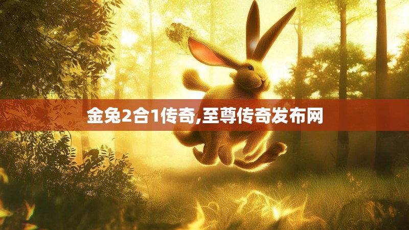 金兔2合1传奇,至尊传奇发布网