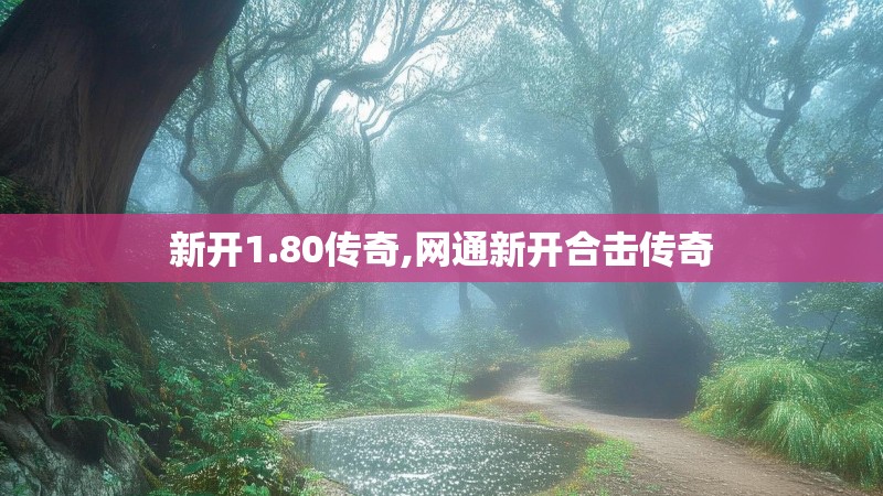 新开1.80传奇,网通新开合击传奇