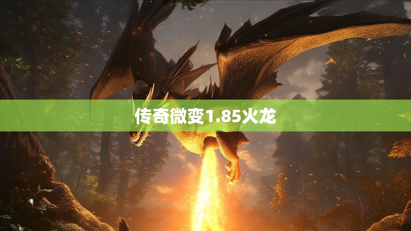 传奇微变1.85火龙
