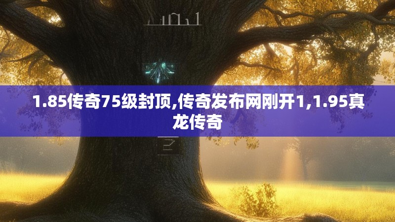 1.85传奇75级封顶,传奇发布网刚开1,1.95真龙传奇