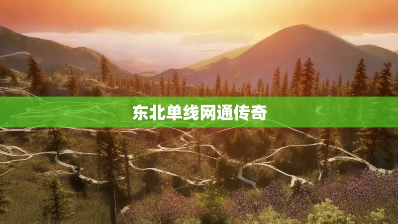 东北单线网通传奇