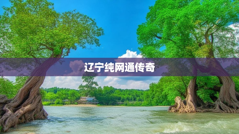 辽宁纯网通传奇