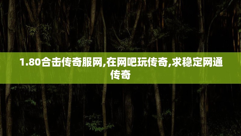 1.80合击传奇服网,在网吧玩传奇,求稳定网通传奇