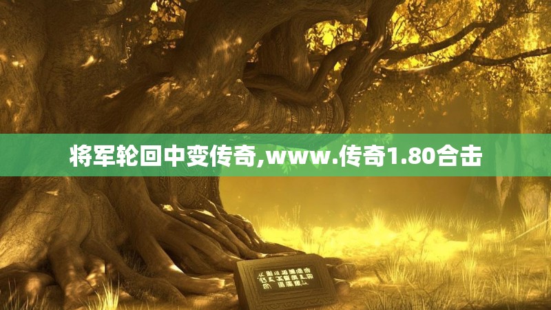 将军轮回中变传奇,www.传奇1.80合击