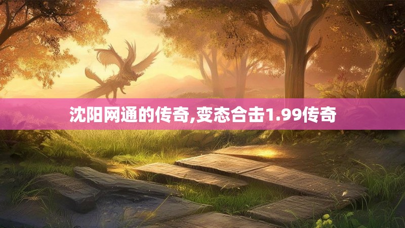 沈阳网通的传奇,变态合击1.99传奇