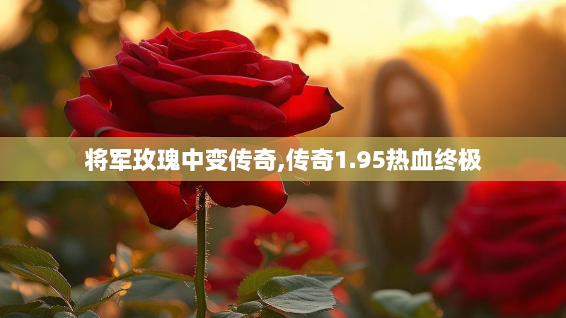 将军玫瑰中变传奇,传奇1.95热血终极