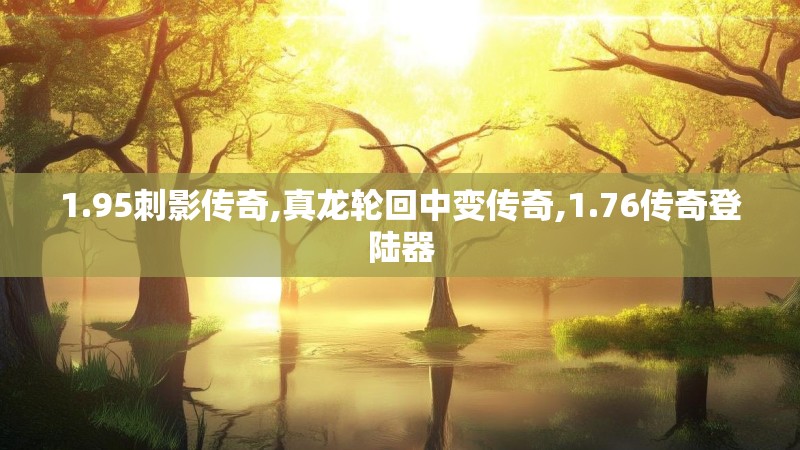 1.95刺影传奇,真龙轮回中变传奇,1.76传奇登陆器