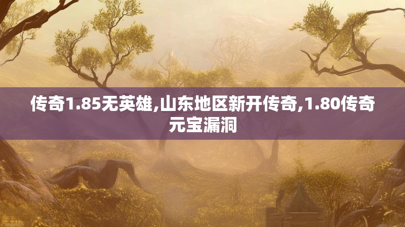 传奇1.85无英雄,山东地区新开传奇,1.80传奇元宝漏洞