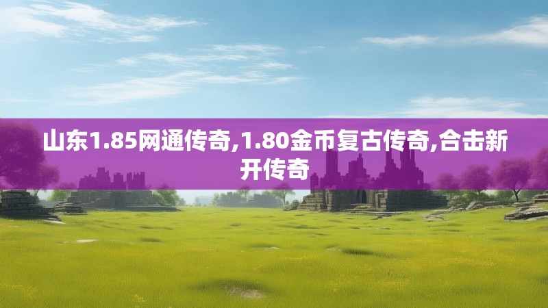 山东1.85网通传奇,1.80金币复古传奇,合击新开传奇