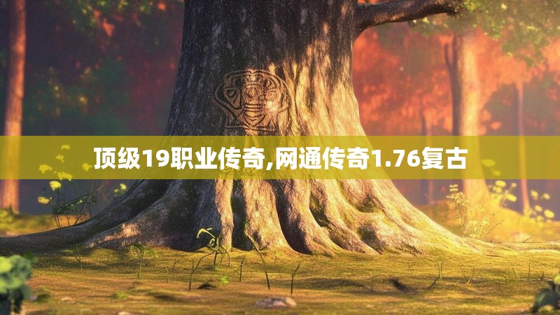 顶级19职业传奇,网通传奇1.76复古
