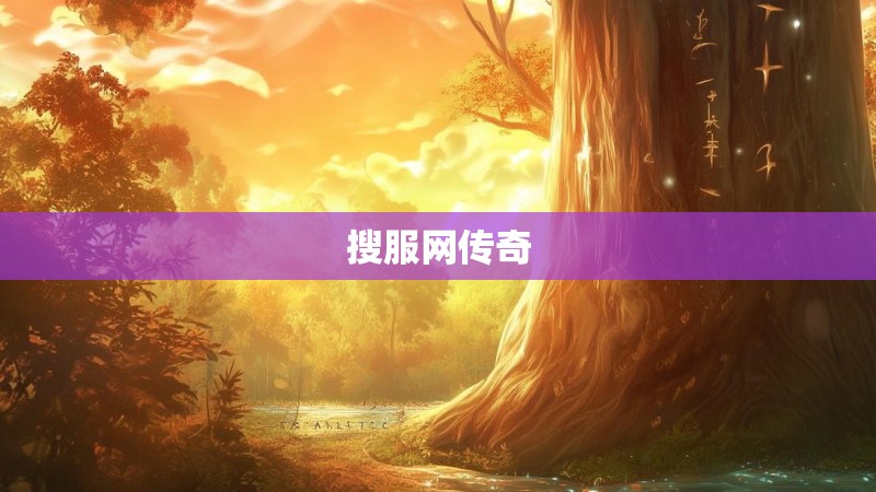 搜服网传奇