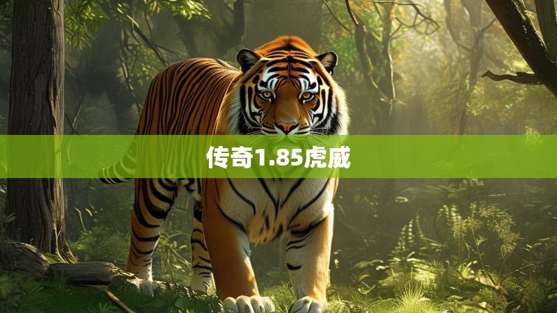 传奇1.85虎威