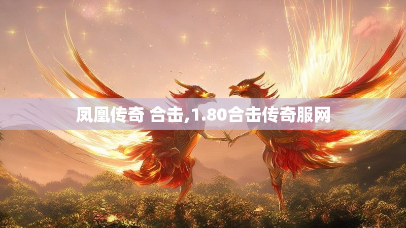 凤凰传奇 合击,1.80合击传奇服网
