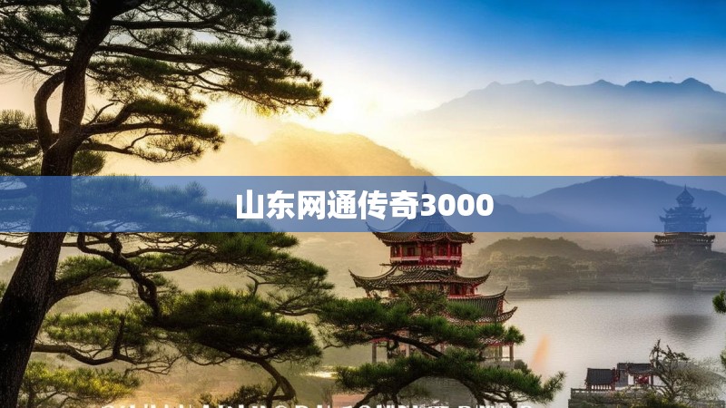 山东网通传奇3000