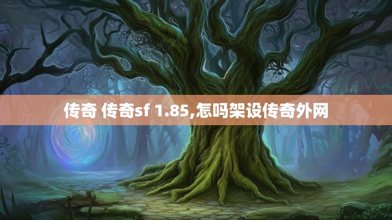 传奇 传奇sf 1.85,怎吗架设传奇外网