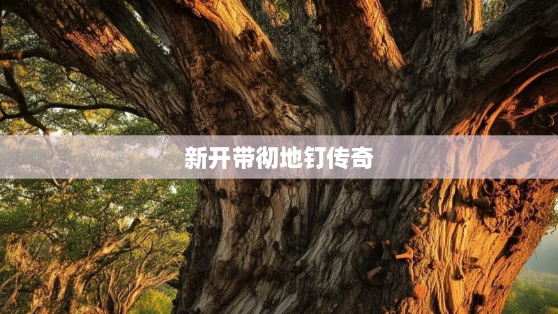 新开带彻地钉传奇