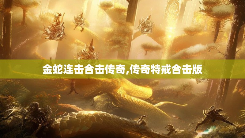 金蛇连击合击传奇,传奇特戒合击版