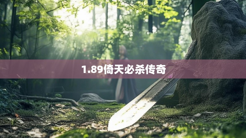 1.89倚天必杀传奇