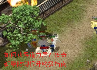 如何获得道力盾？传奇新服防御提升终极指南