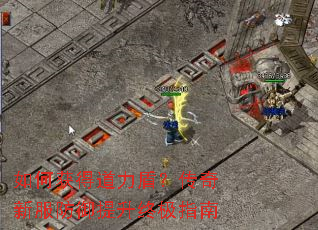 如何获得道力盾？传奇新服防御提升终极指南