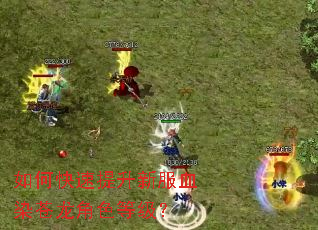 如何快速提升新服血染苍龙角色等级? 如何快速提升新服血染苍龙角色等级?