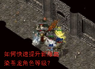 如何快速提升新服血染苍龙角色等级? 如何快速提升新服血染苍龙角色等级?