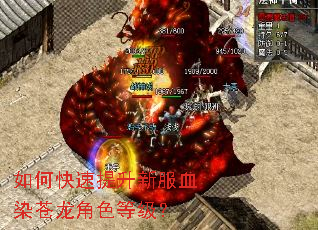 如何快速提升新服血染苍龙角色等级? 如何快速提升新服血染苍龙角色等级?