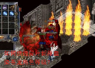 如何快速提升新服血染苍龙角色等级? 如何快速提升新服血染苍龙角色等级?