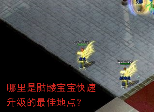 哪里是骷髅宝宝快速升级的最佳地点？