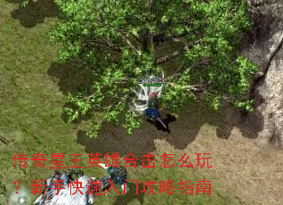 传奇星王英雄合击怎么玩？新手快速入门攻略指南