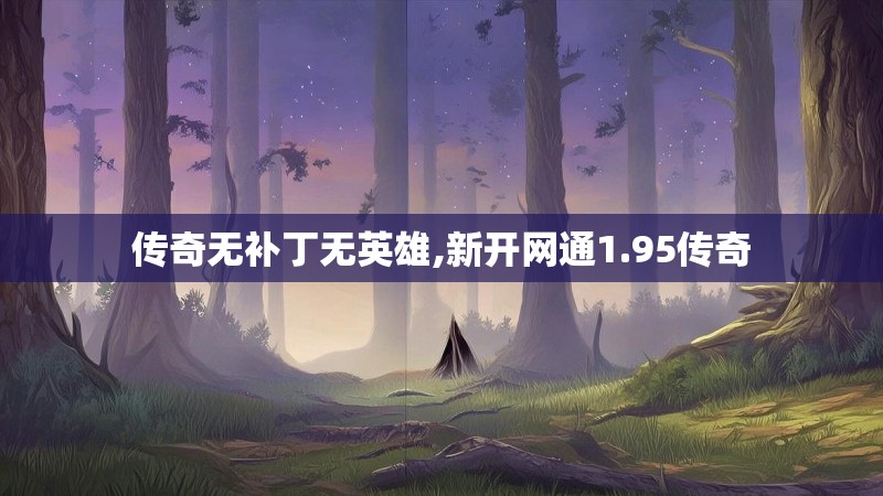 传奇无补丁无英雄,新开网通1.95传奇