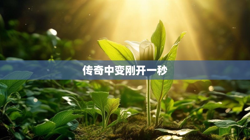 传奇中变刚开一秒