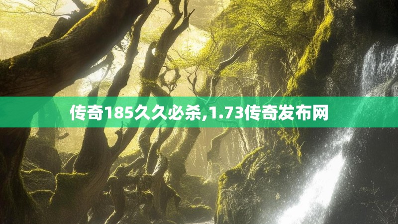 传奇185久久必杀,1.73传奇发布网