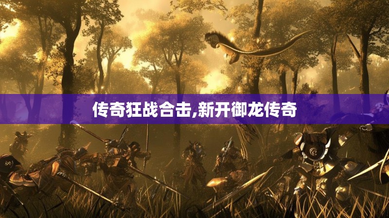 传奇狂战合击,新开御龙传奇