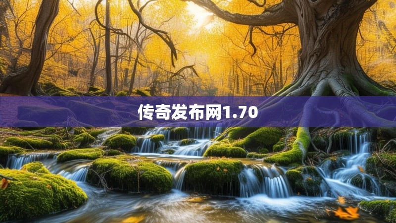 传奇发布网1.70
