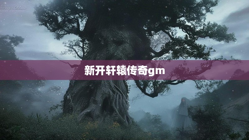 新开轩辕传奇gm