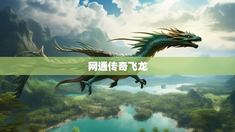 网通传奇飞龙