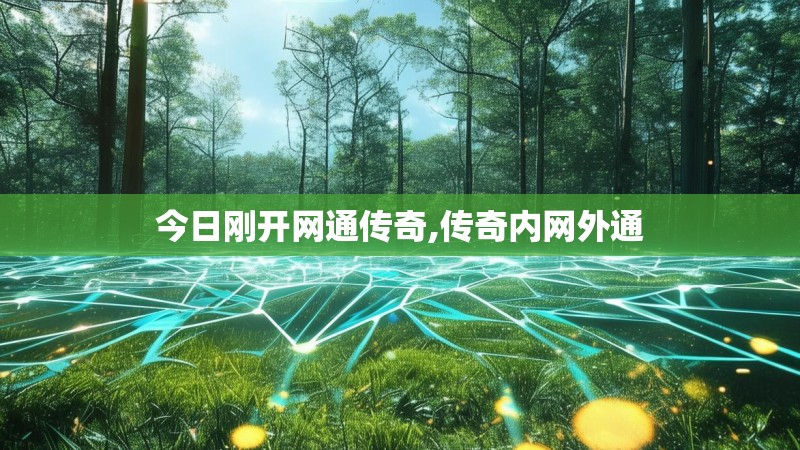 今日刚开网通传奇,传奇内网外通