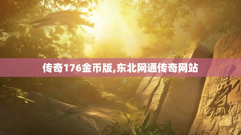 传奇176金币版,东北网通传奇网站