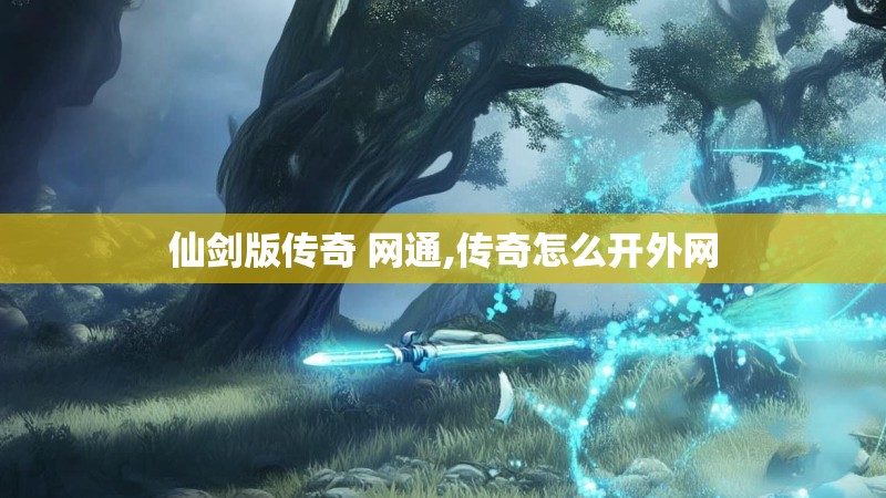 仙剑版传奇 网通,传奇怎么开外网
