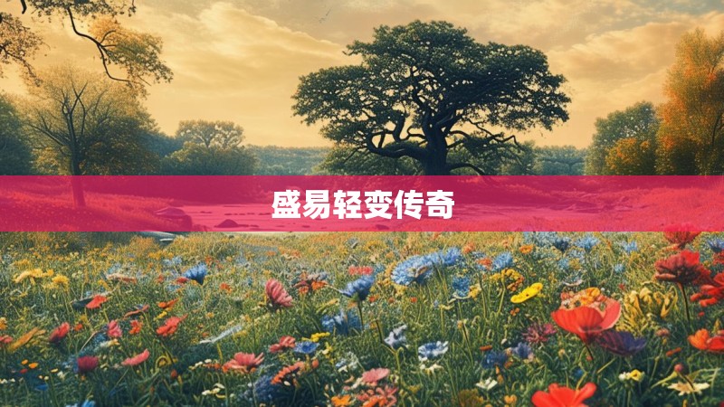盛易轻变传奇