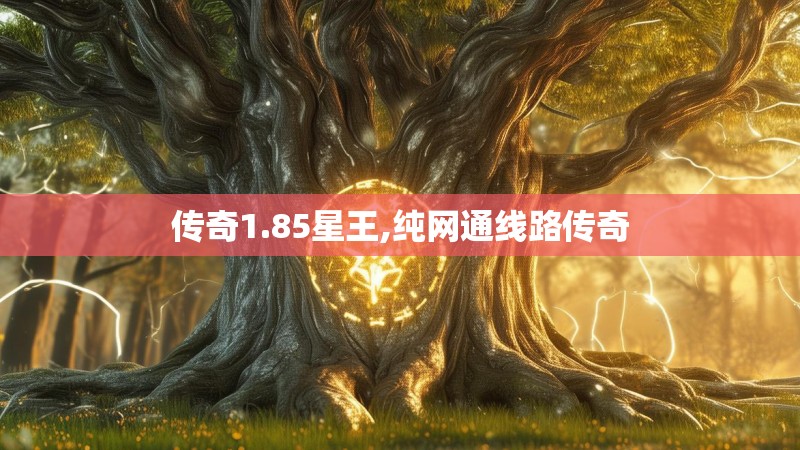 传奇1.85星王,纯网通线路传奇