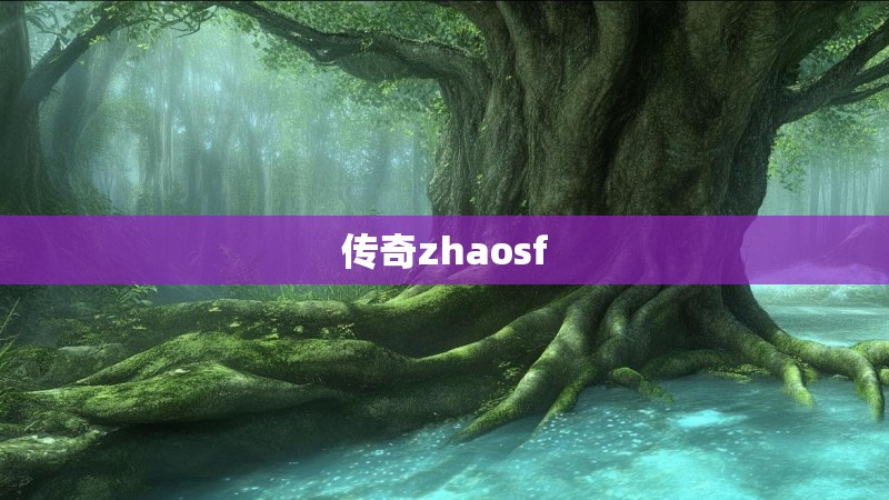 传奇zhaosf