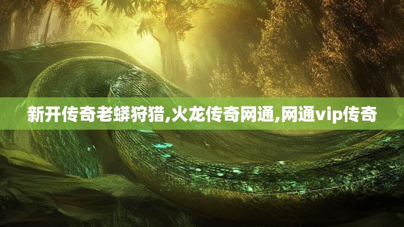 新开传奇老蟒狩猎,火龙传奇网通,网通vip传奇