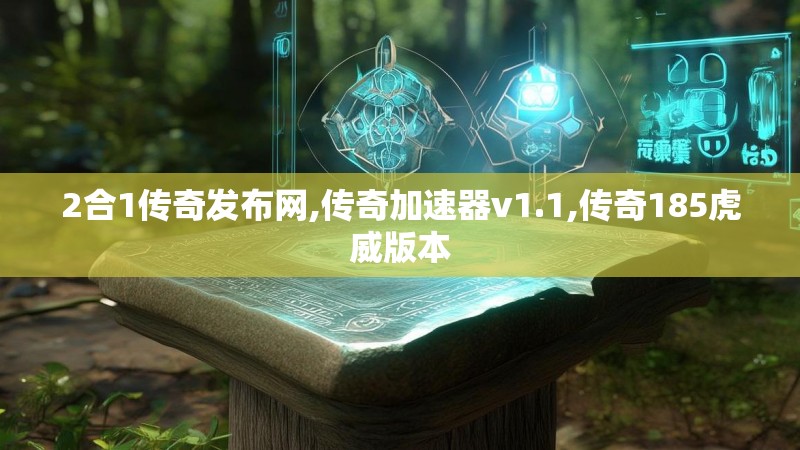 2合1传奇发布网,传奇加速器v1.1,传奇185虎威版本