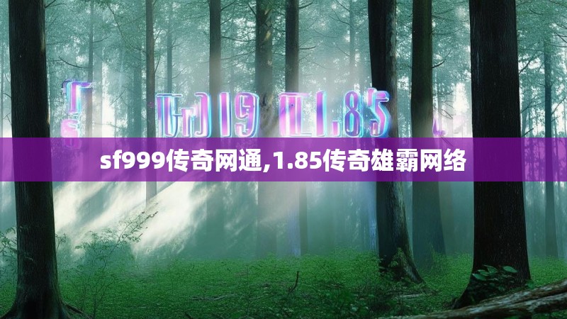 sf999传奇网通,1.85传奇雄霸网络