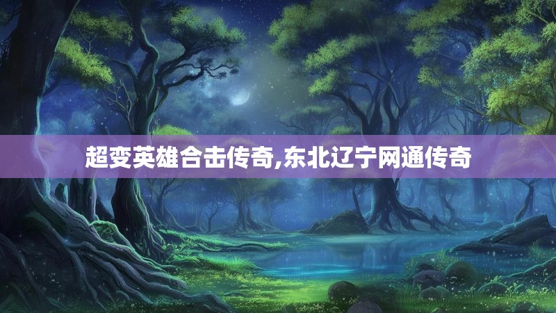 超变英雄合击传奇,东北辽宁网通传奇